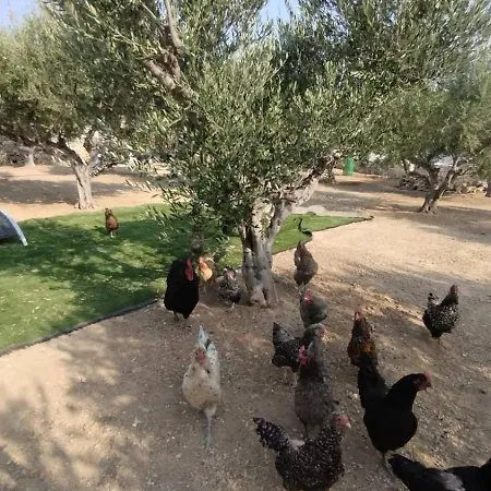 Levanda Paros House מראה חיצוני תמונה