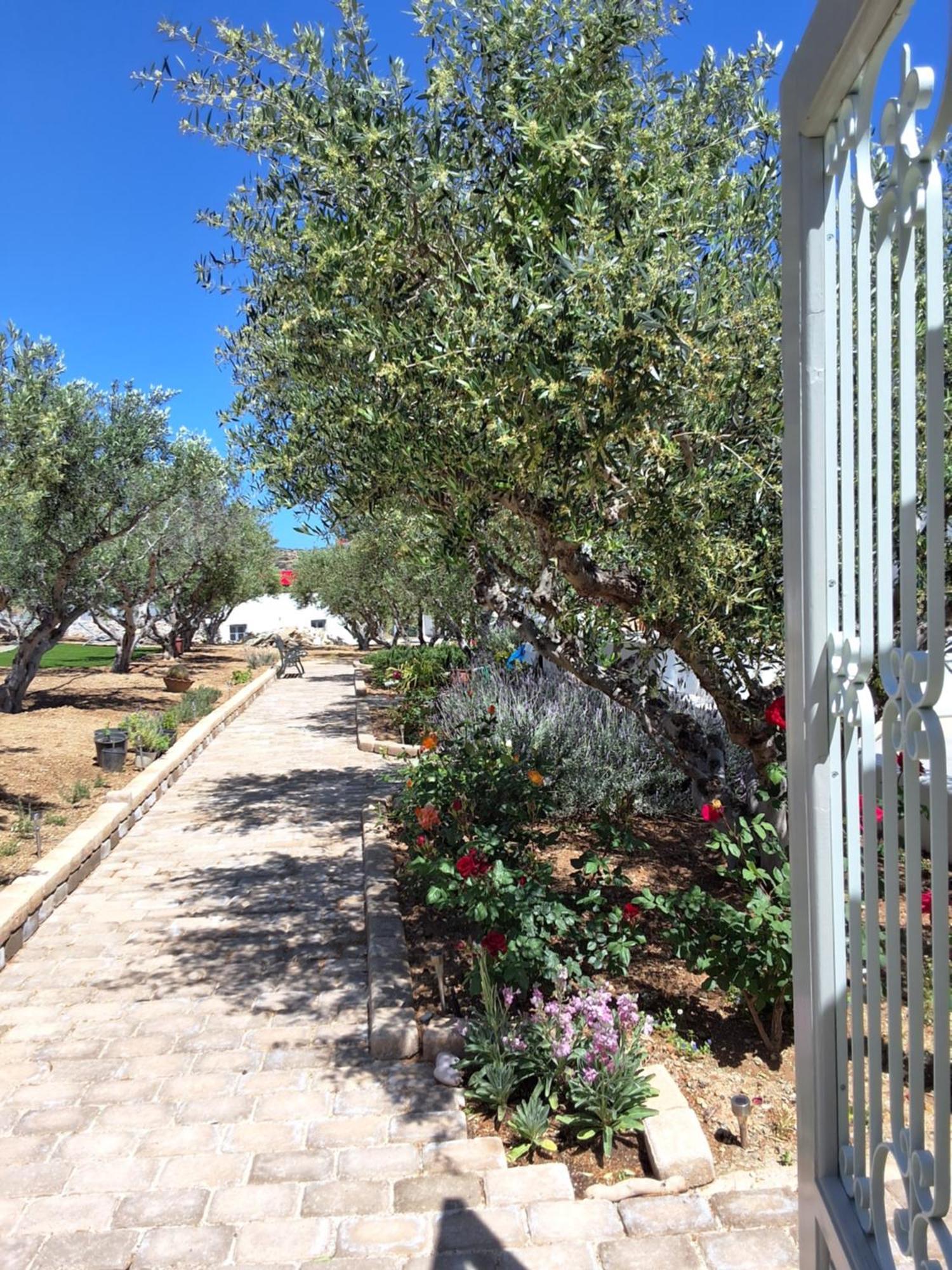 Apartment Levanda House Parikia (Paros)