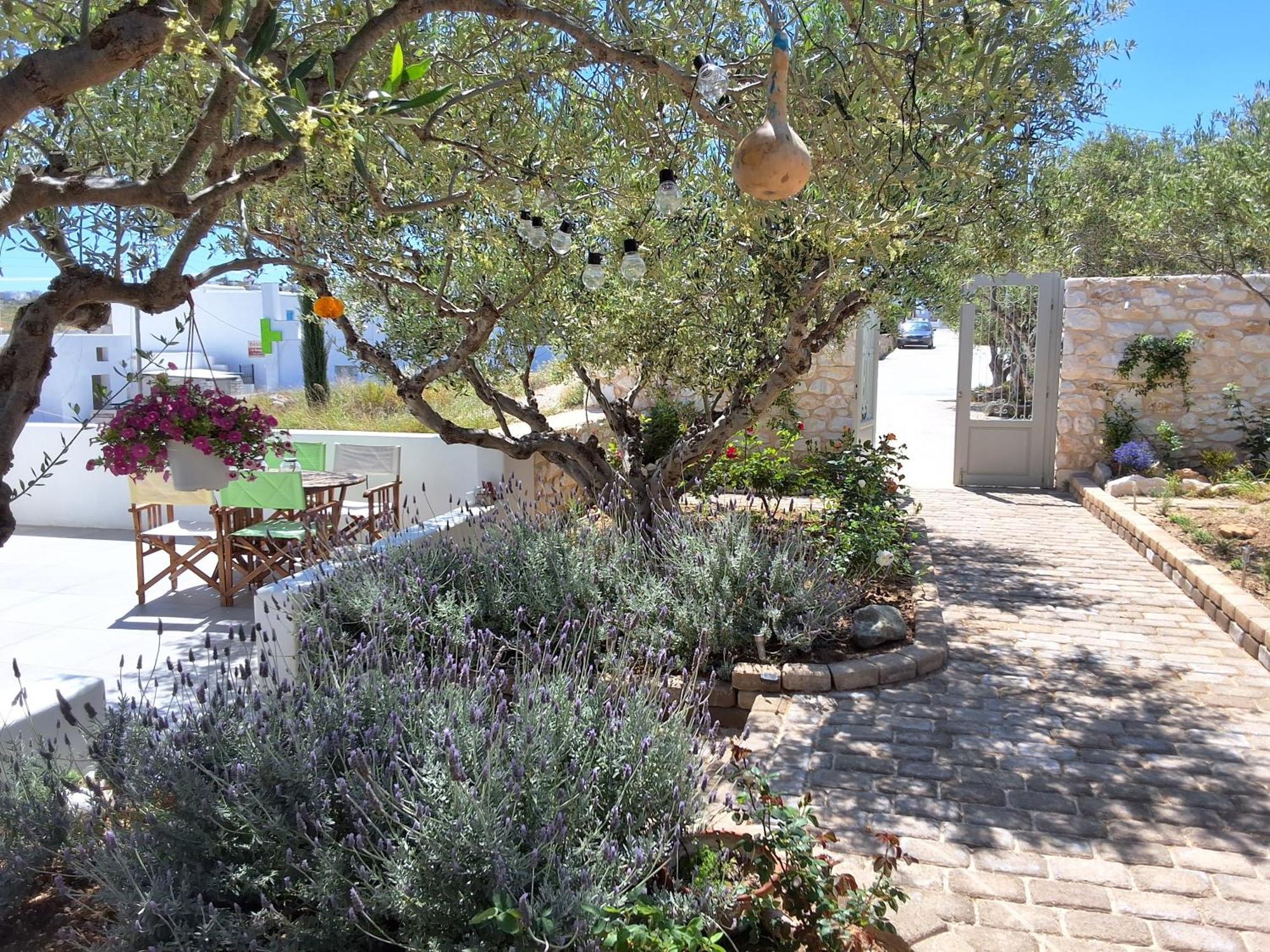 Levanda House * Parikia (Paros)